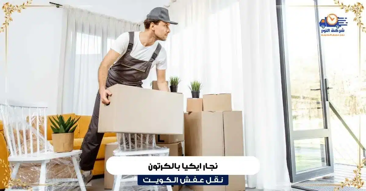 نجار ايكيا بالكرتون